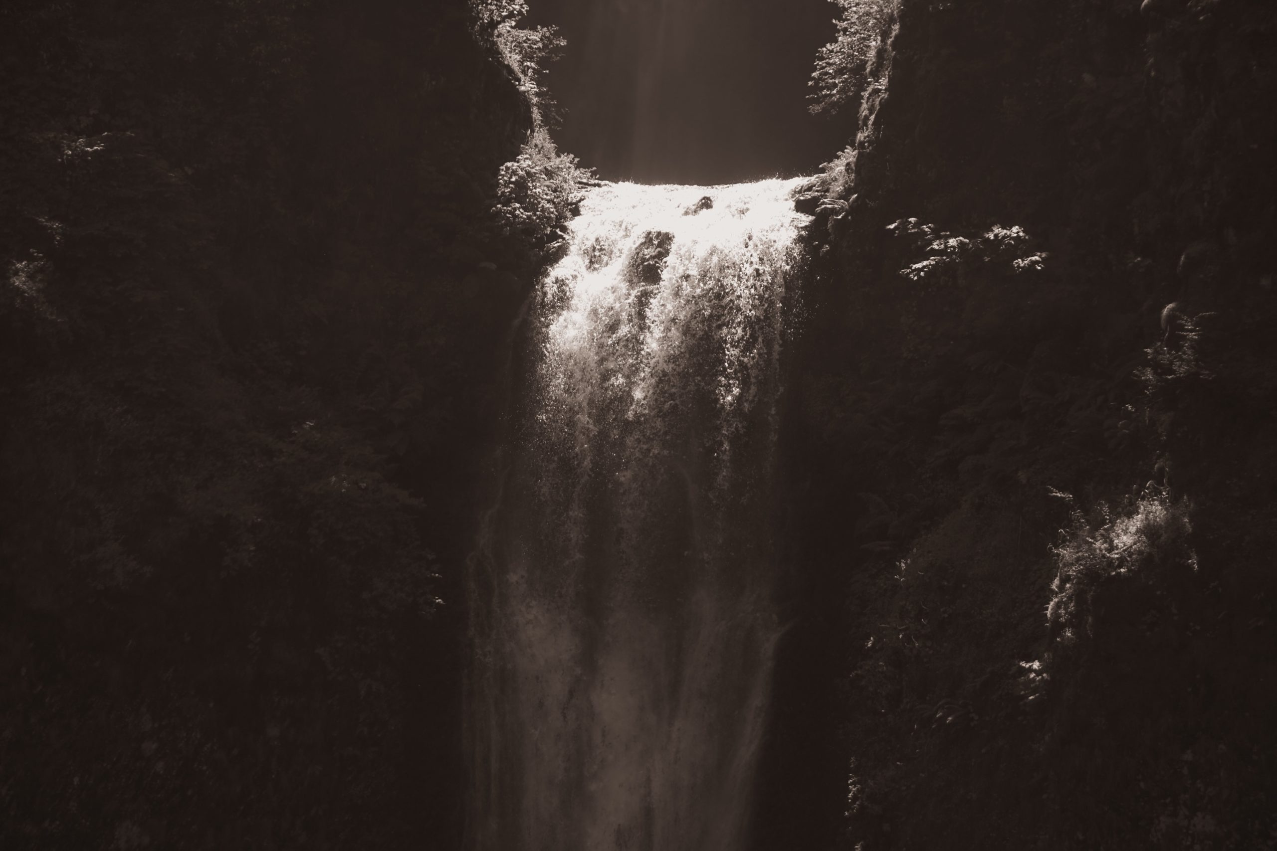 Oregon2021_compressed218