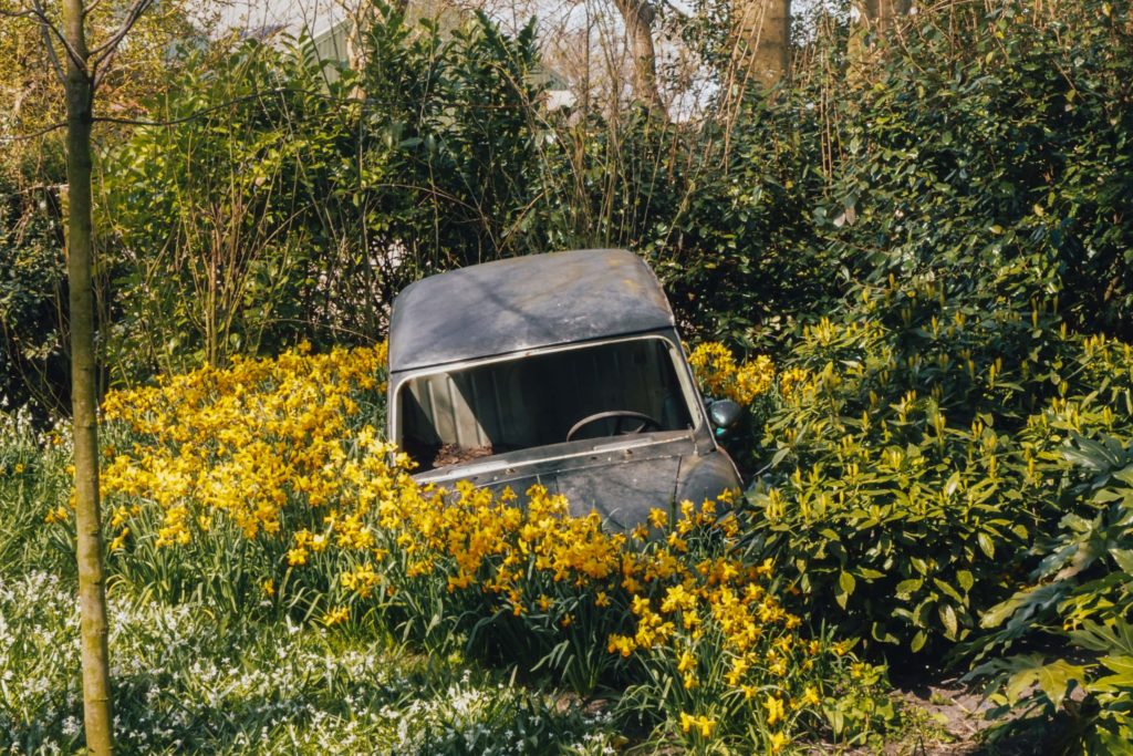 Keukenhof-Min