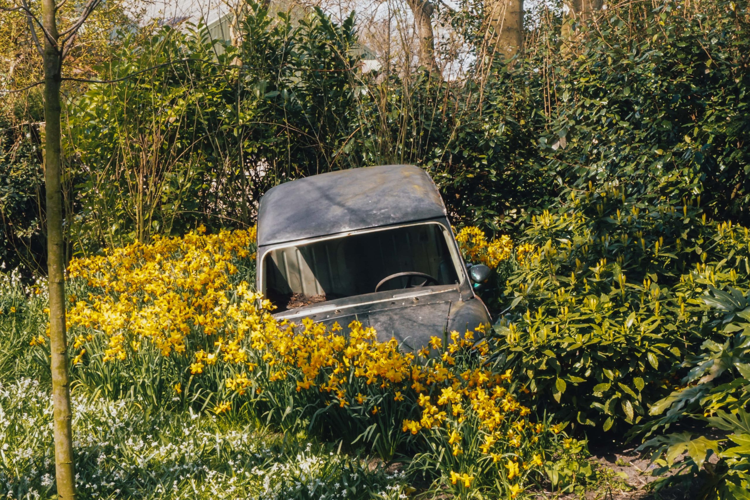 Keukenhof-Min