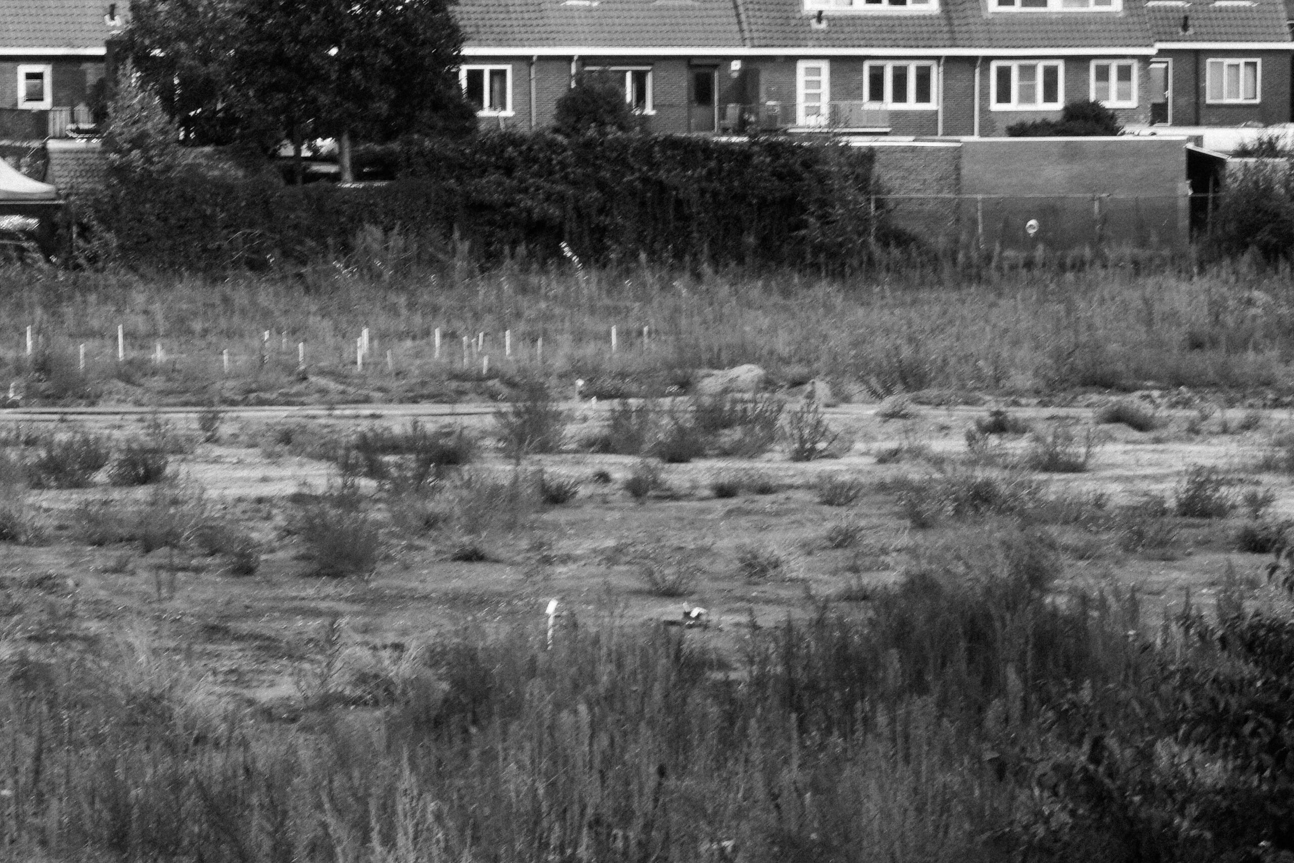 bwvacant-05(1)