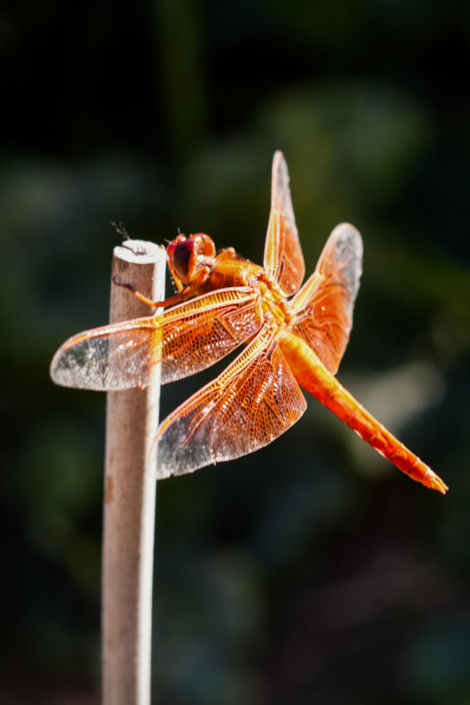 Website sliders-11