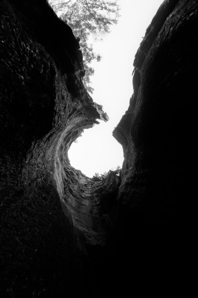 Web Sliders BW-11