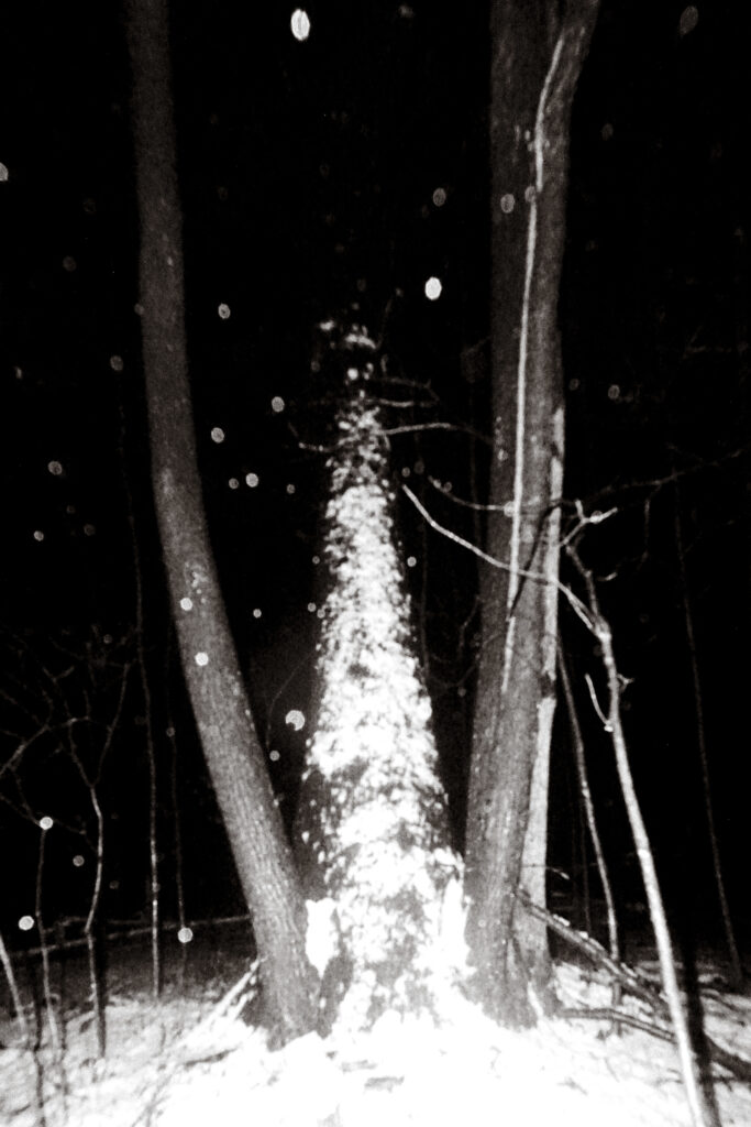 Web Sliders BW-5