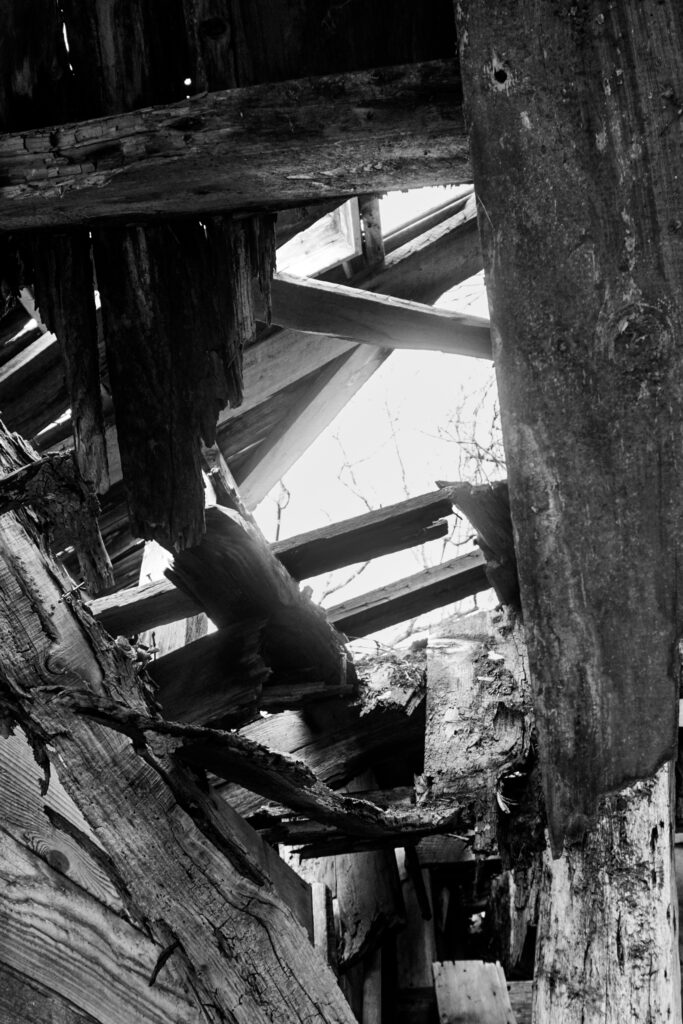 Web Sliders BW-8